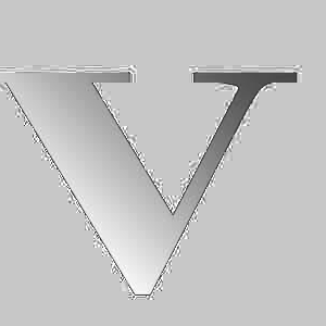 Vitae Therapies